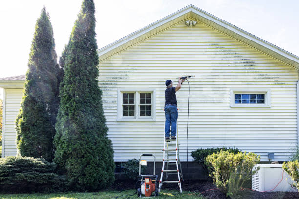 Best Driveway Pressure Washing  in Angustura, NM